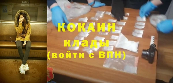 гидра Кулебаки