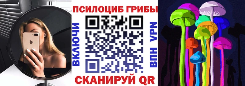 Галлюциногенные грибы мицелий  Куртамыш 